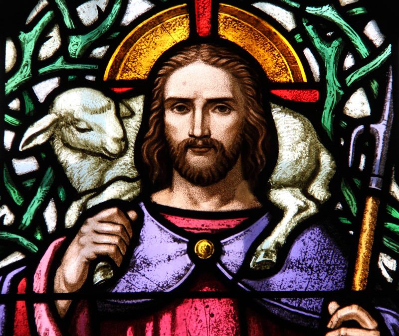 I AM the Good Shepherd – Part 5 of 8